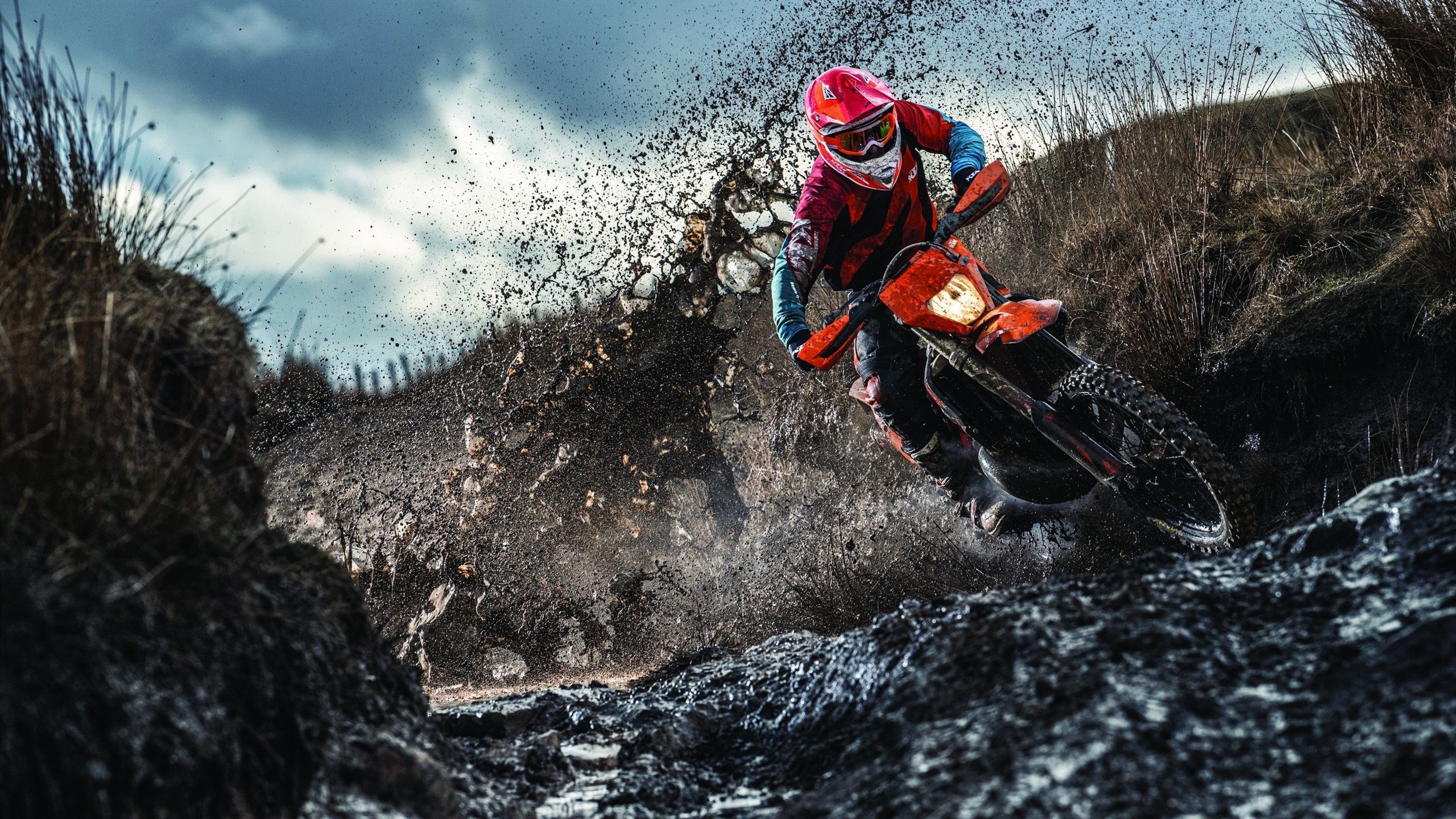 历史瞬间：那些年球队赢得冠军的经典时刻，有没有球队全胜夺冠